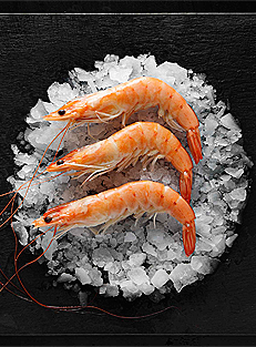 langostino Vannamei