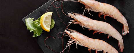 Langostino Vannamei