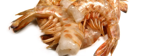 Langostino Vannamei