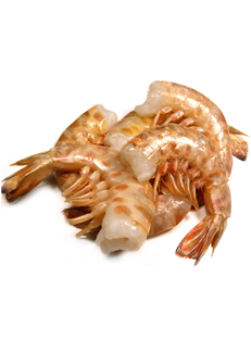 langostino Vannamei