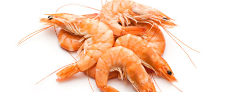 Gambón de Argentina