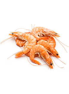 gambón de Argentina